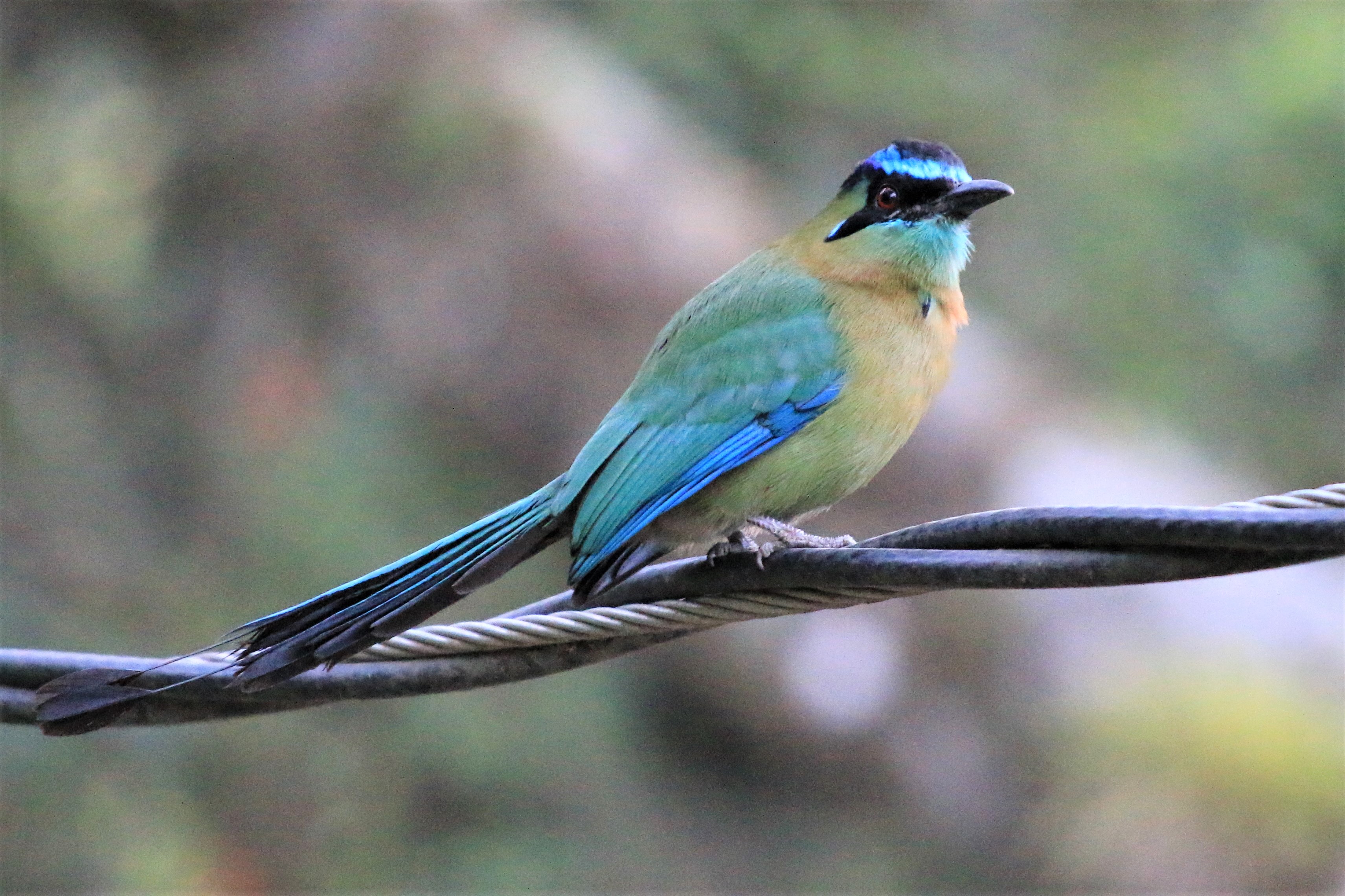 Costa Rica